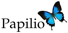 Papilio: A Practice Management System that simplifies complex processes